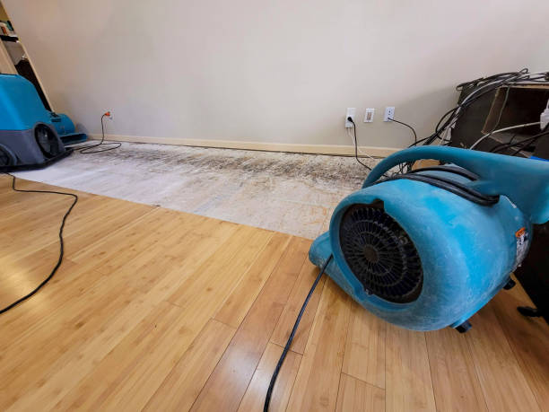 Professional Structural Drying technician working in Greenwood, DE